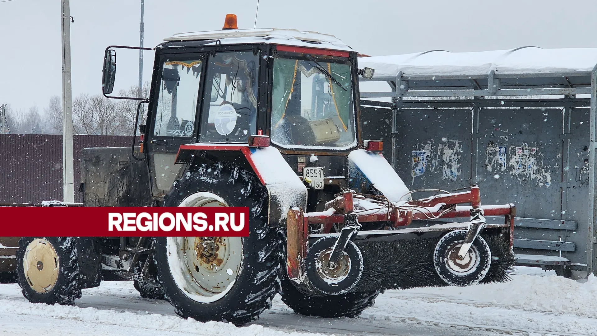 Фото: Светлана Борщева