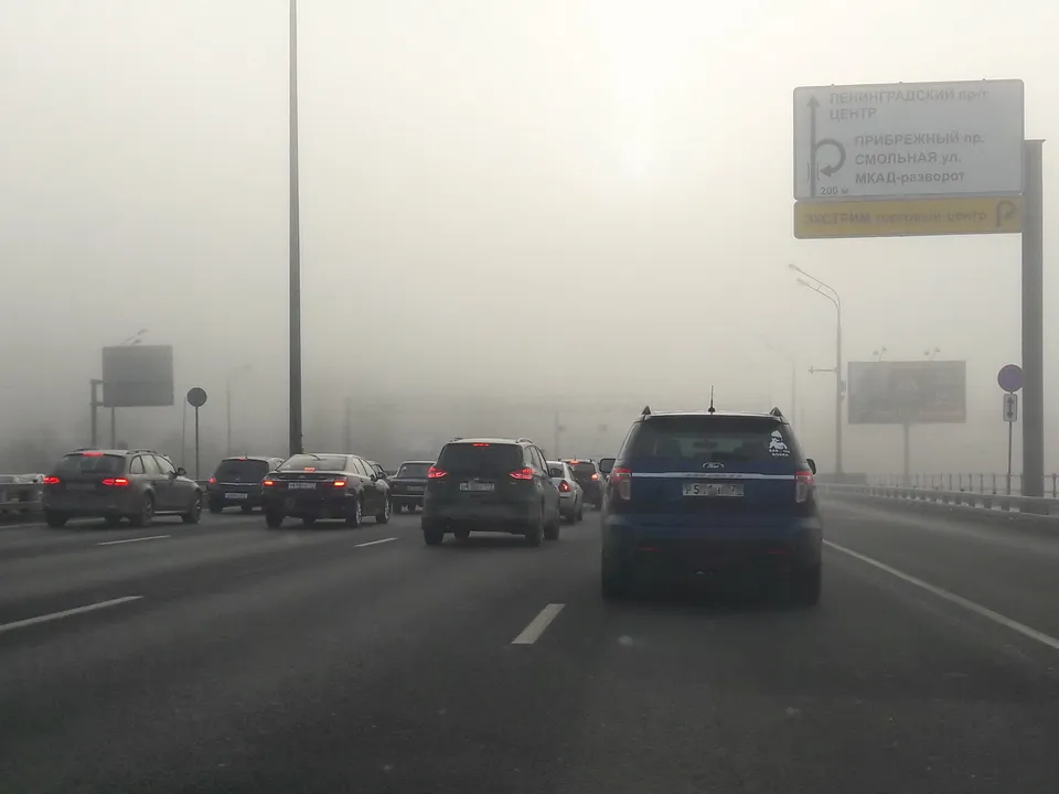 Фото: медиасток.рф<br>