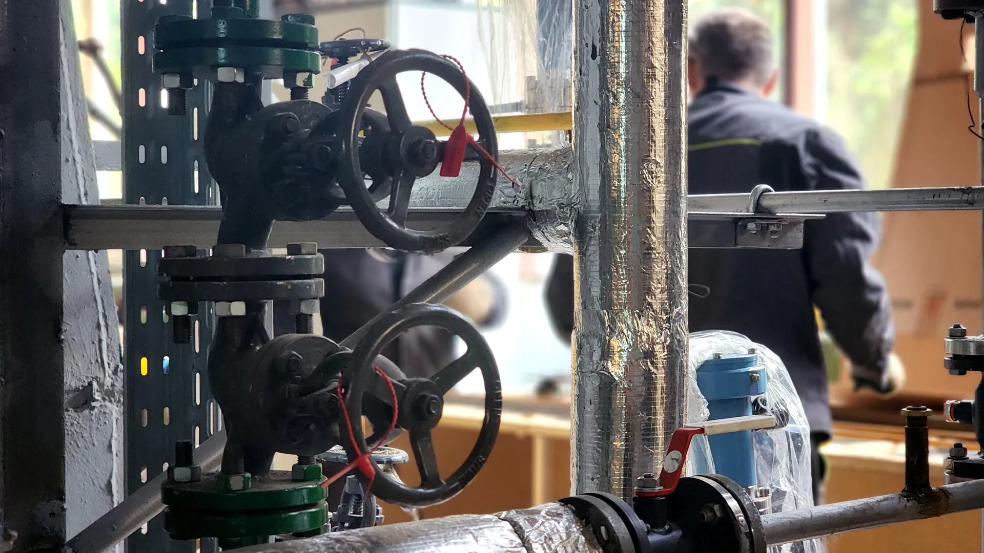 Фото: REGIONS/Полина Пахомова