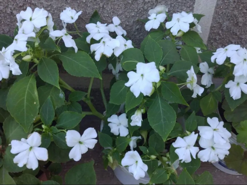 Фото: REGIONS/Юлия Габбасова