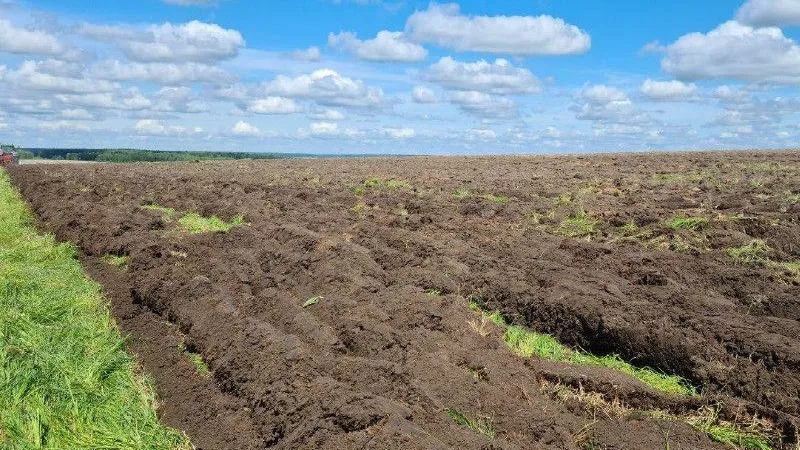 Министерство сельского хозяйства и продовольствия МО