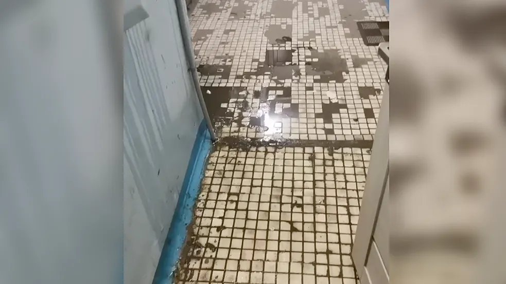 Фото: соцсети