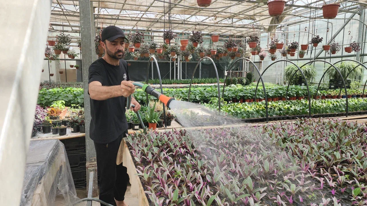 Фото: Ольга Фельдфебелева