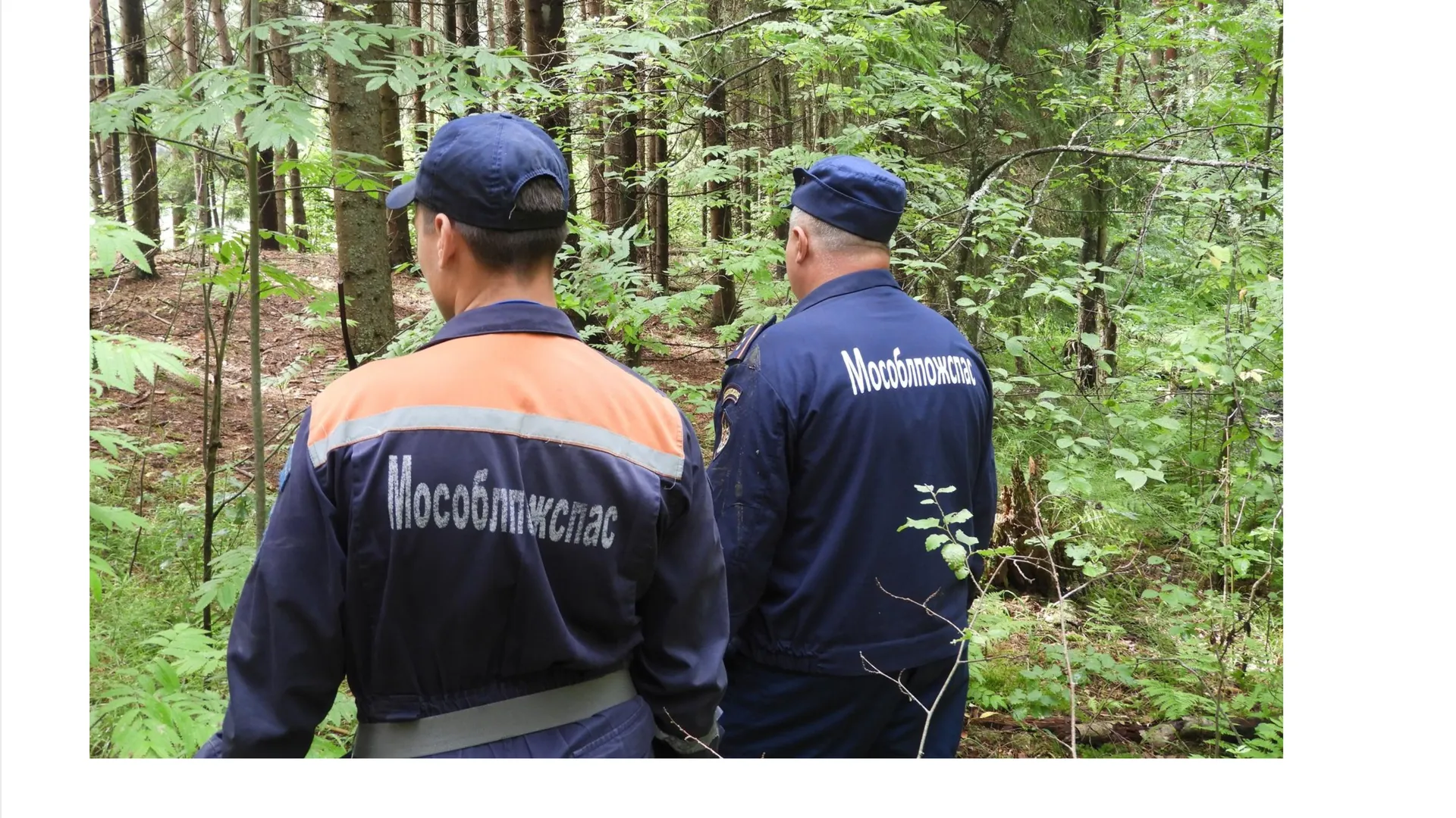 Фото: ГКУ МО «Мособлпожспас»