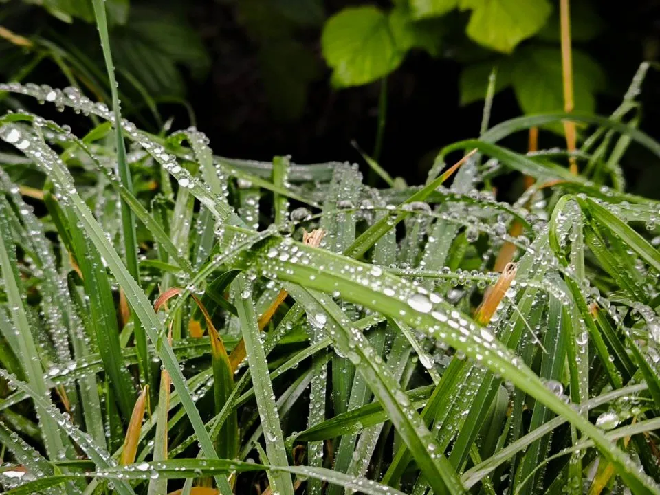 Фото: REGIONS/Роман Малышенко