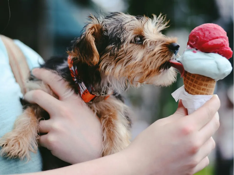 Фото: unsplash.com