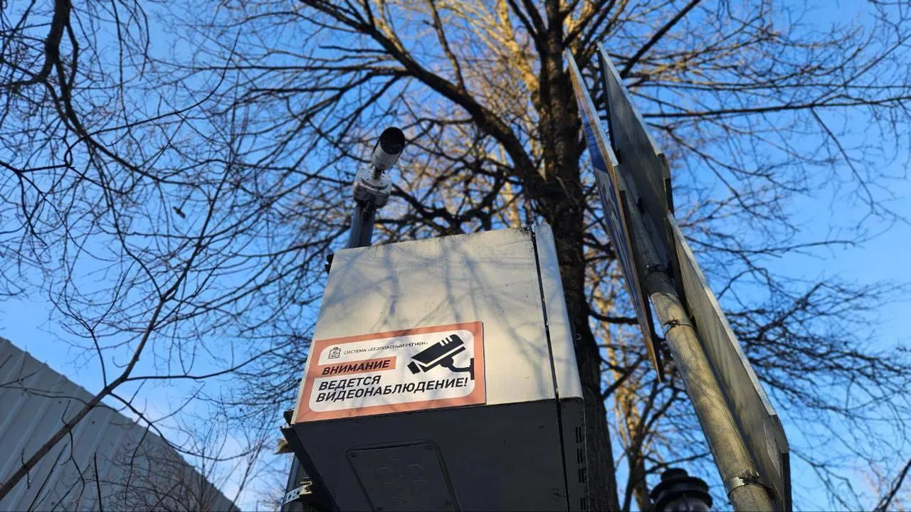 В Подмосковье на выходных выявили 47 случаев парковки возле контейнерных площадок