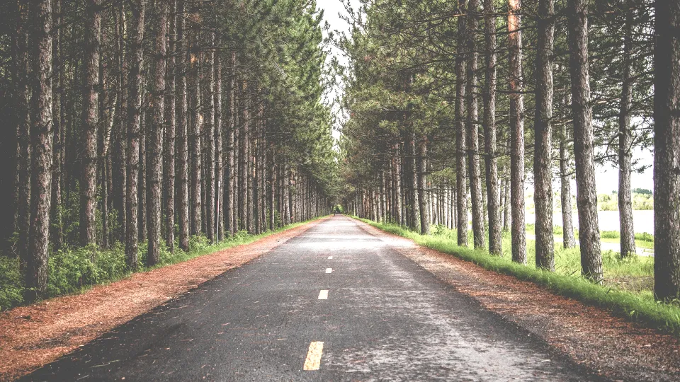 Фото: pxhere.com