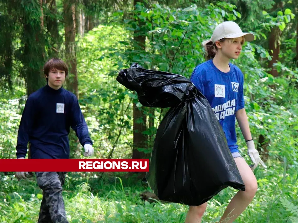 Фото: REGIONS/Василий Тремасов