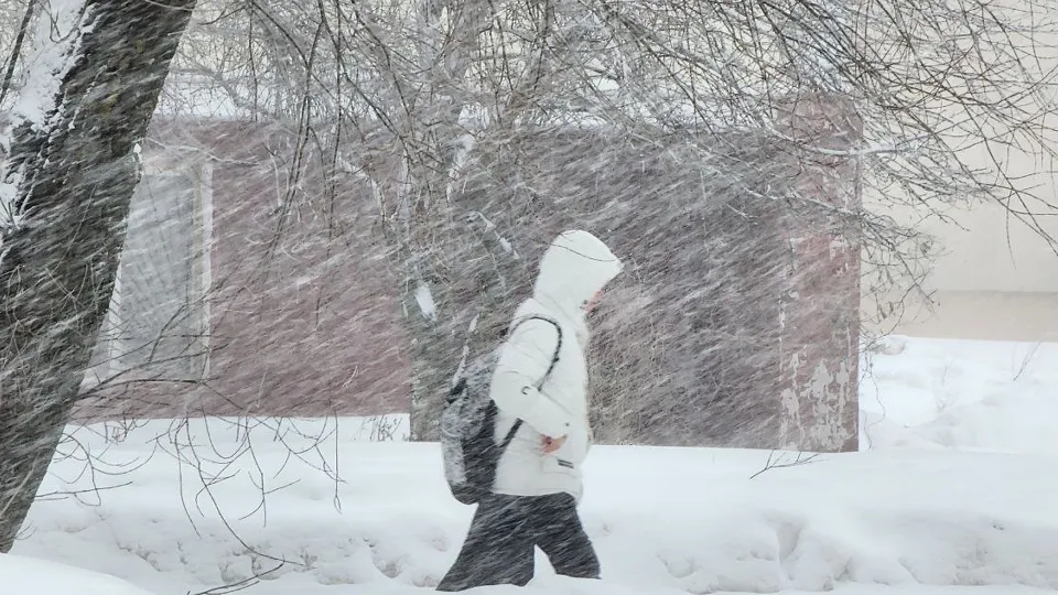 Фото: МедиаБанк Подмосковья/Яна Шаливская