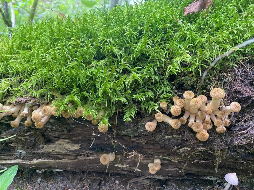 Фото: Анастасия Вознесенская&nbsp;