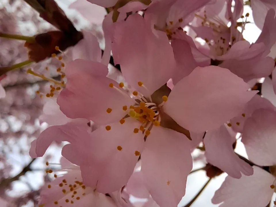 Фото: Александра Загороднова