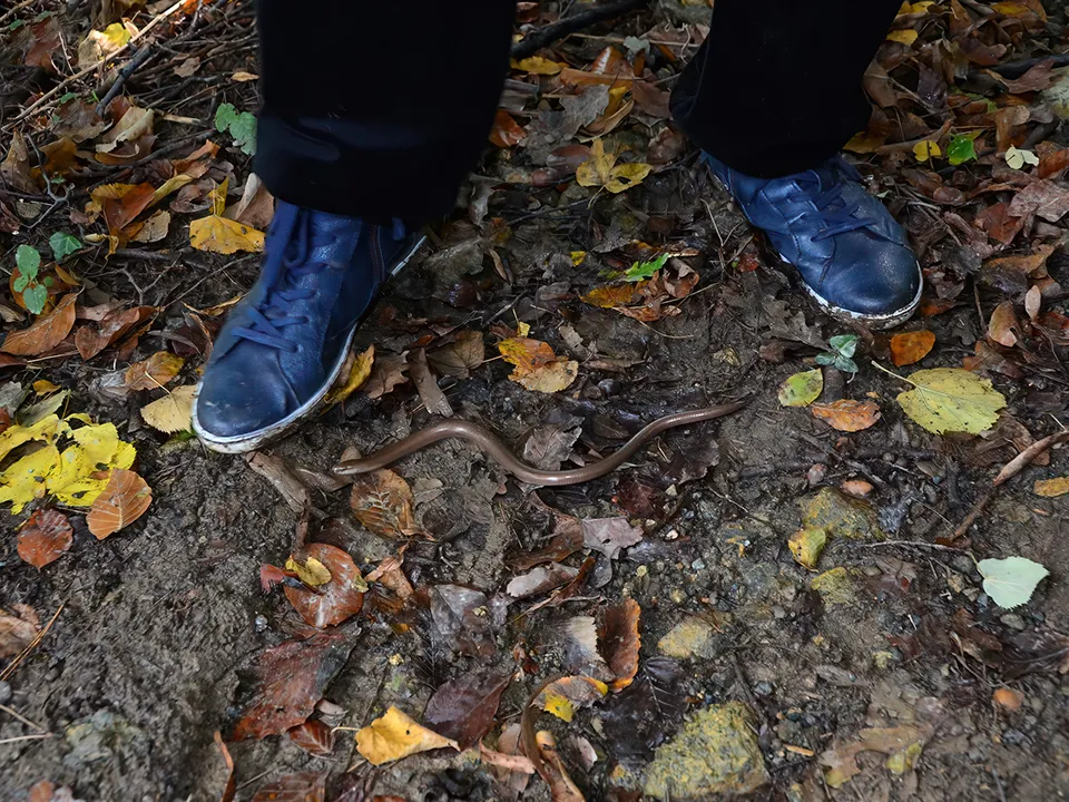 Фото: istockphoto.com