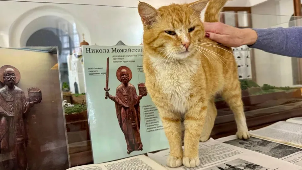 Фото: t.me/adm_mgo