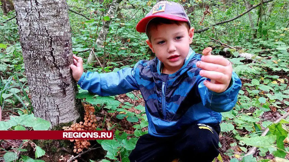 Фото: Елена Григорьева