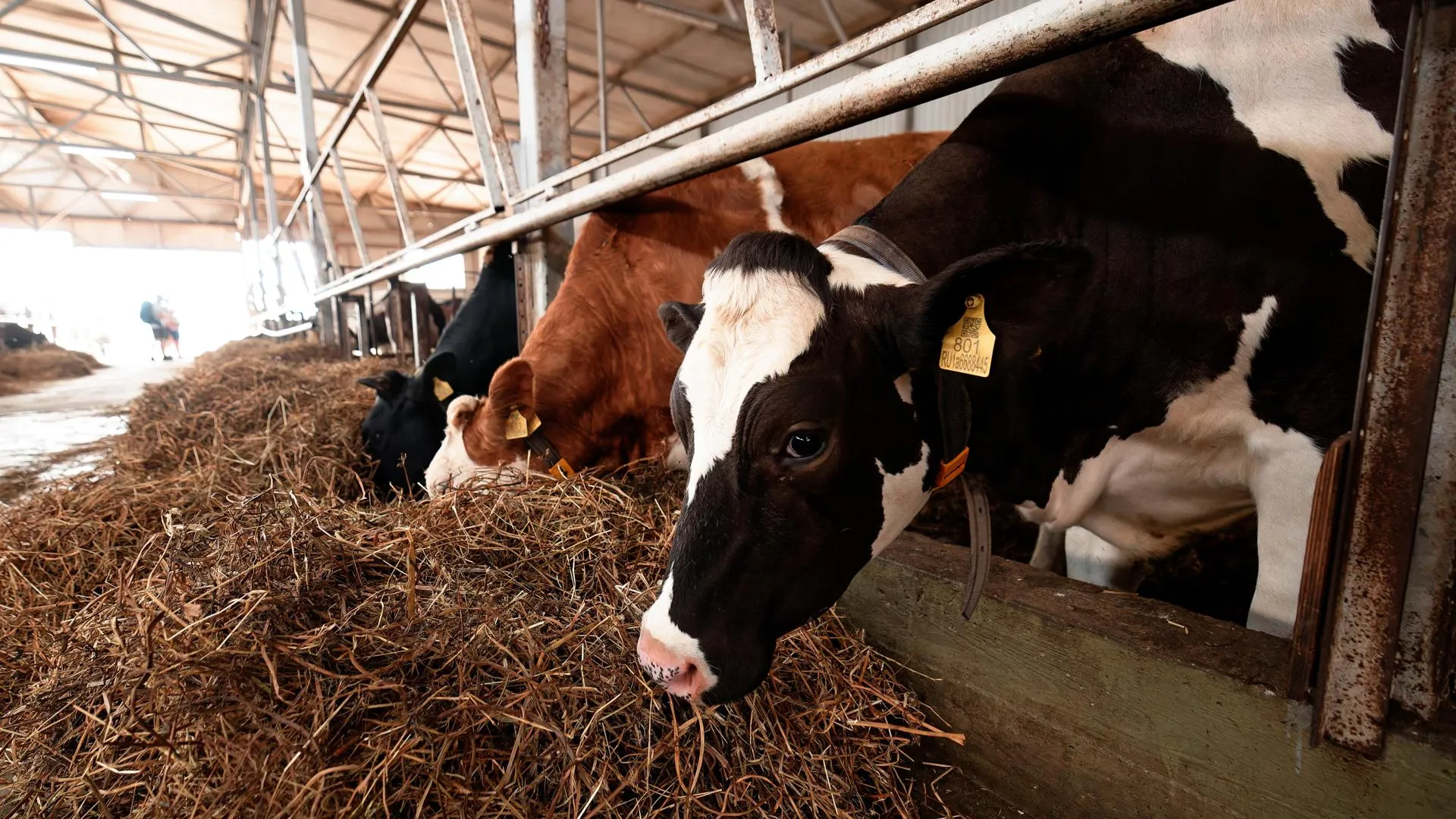 медиасток.рф