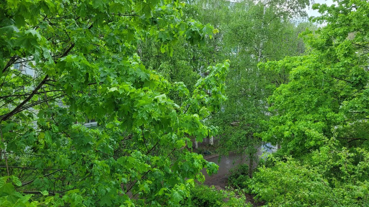 Фото: Юлия Григорьева