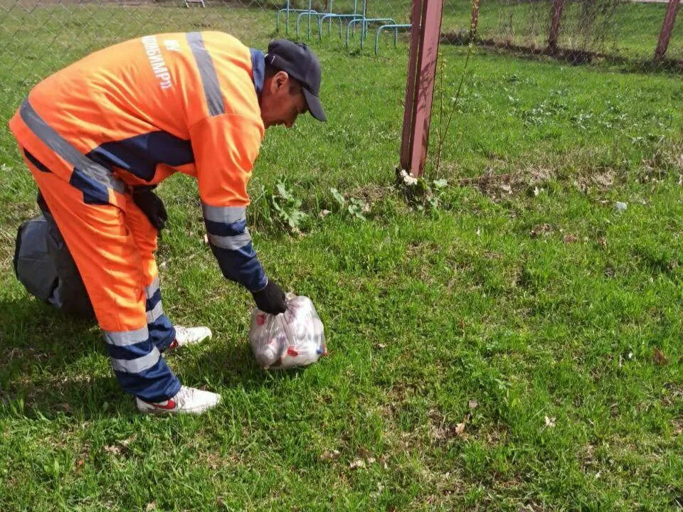Фото: vk.com/Администрация городского округа Истра