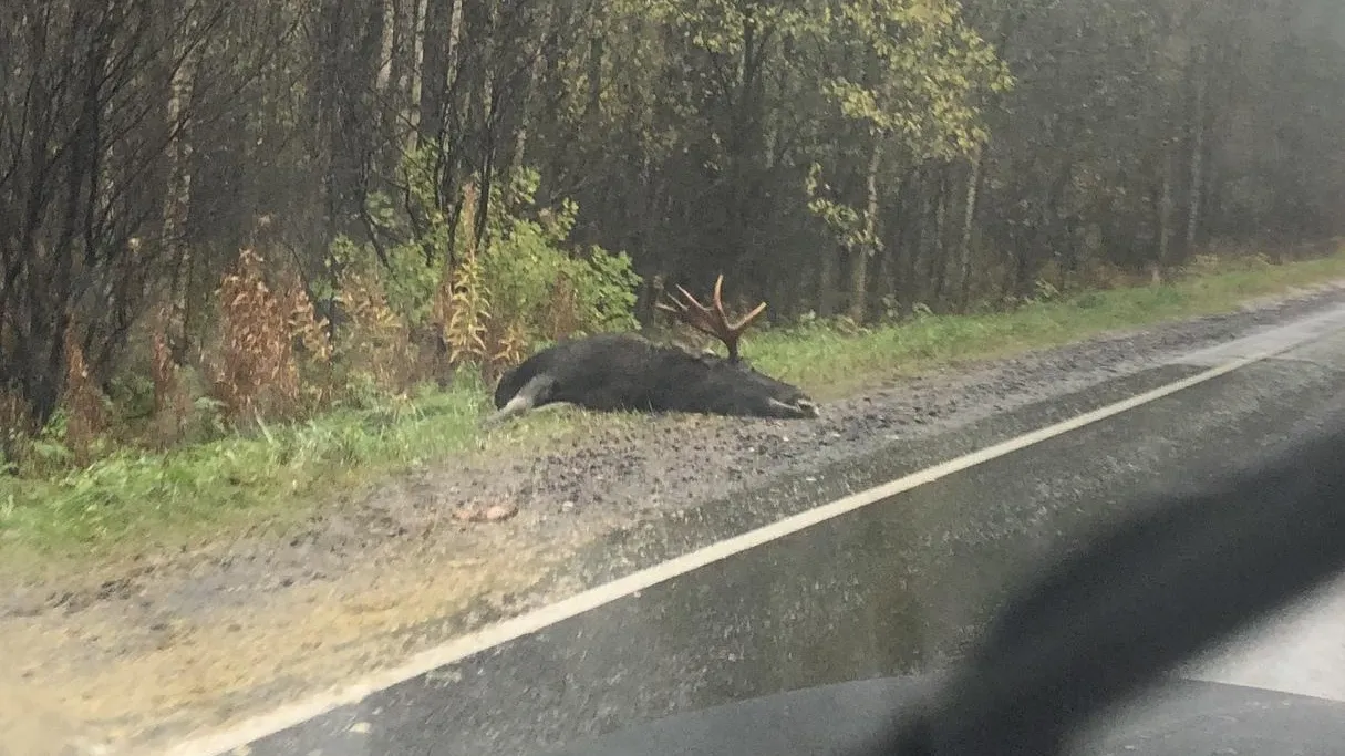 Фото sun9-19.userapi.com.