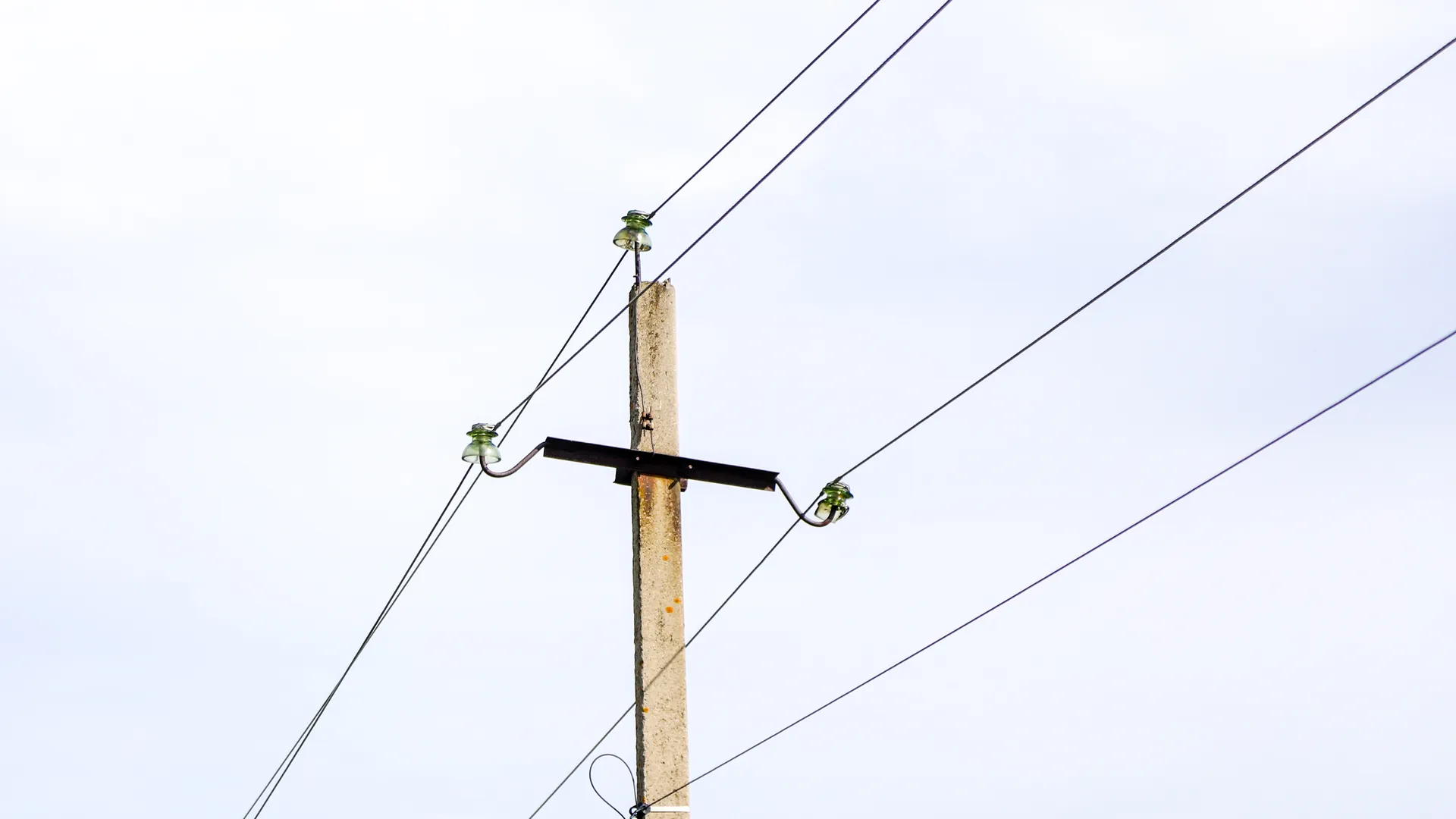 Фото: Виталий Ватулин