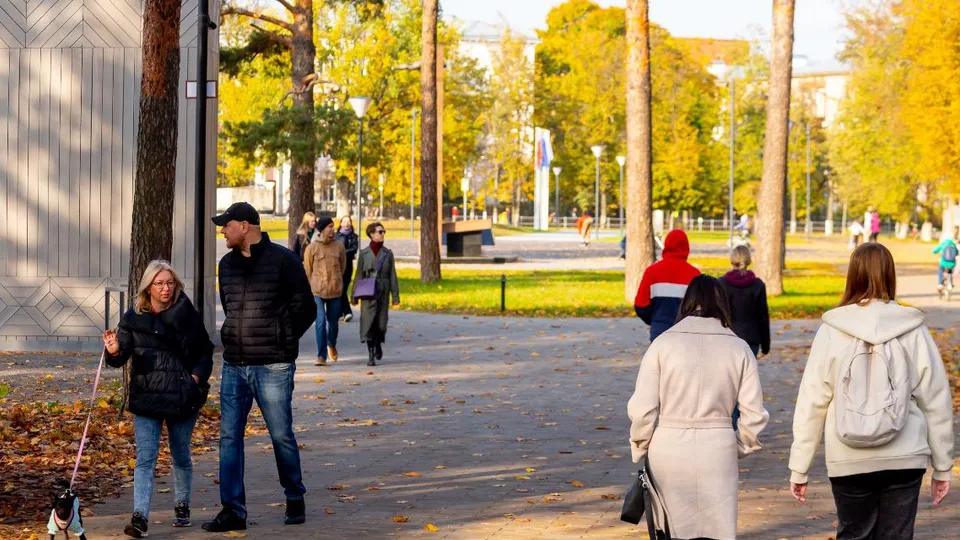 Фото: городской парк культуры и отдыха г.о. Жуковский