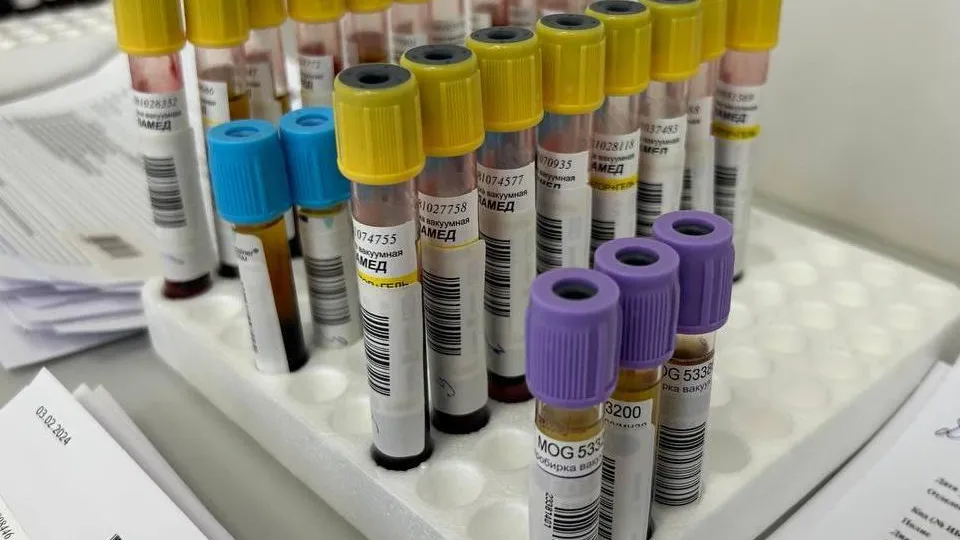 Фото: пресс-служба Администрации городского округа Мытищи