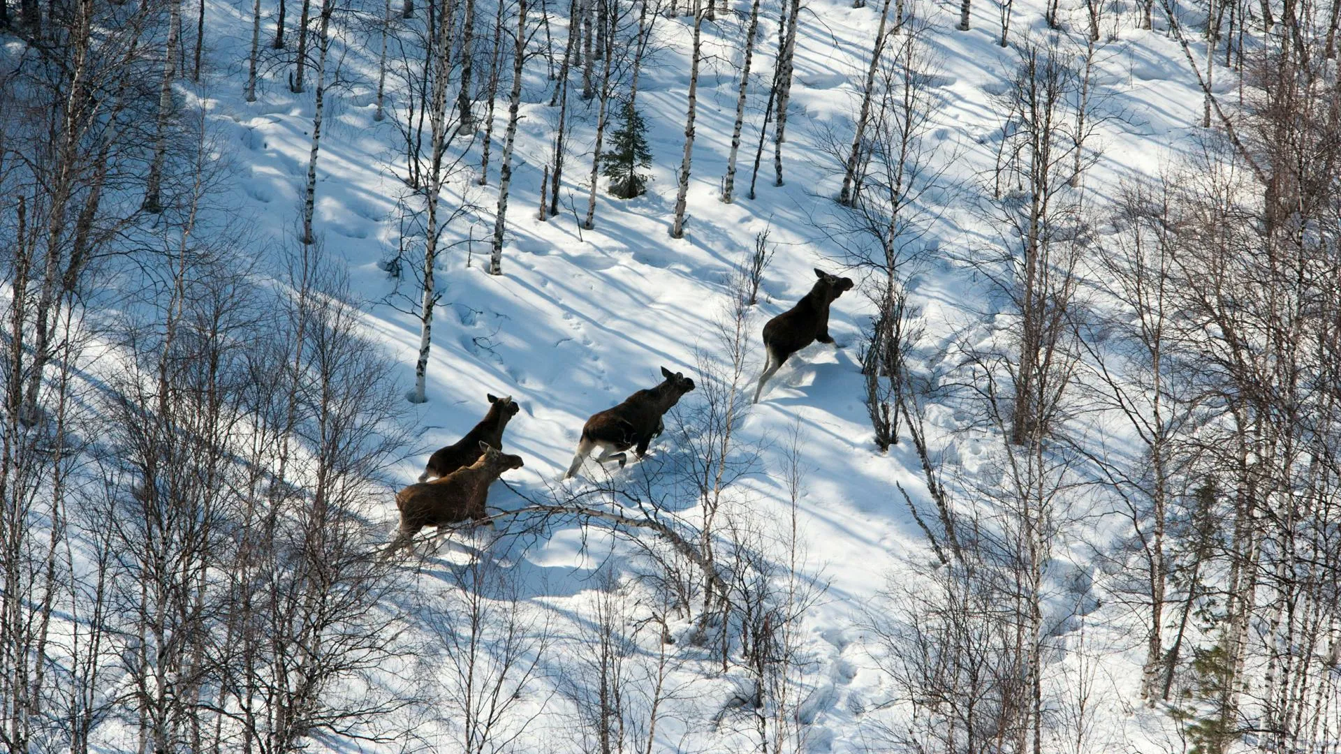 Serguei Fomine/Global Look Press