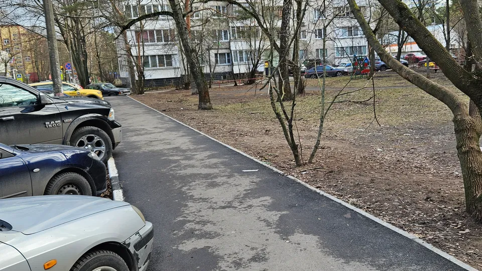 Фото: МедиаБанк Подмосковья/Ольга Вельшикаева