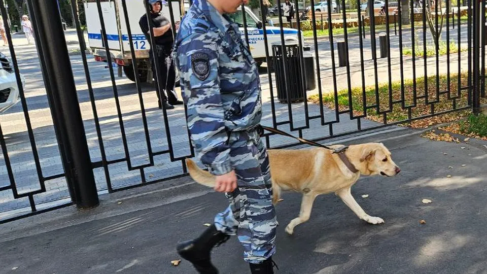 Фото: медиасток.рф