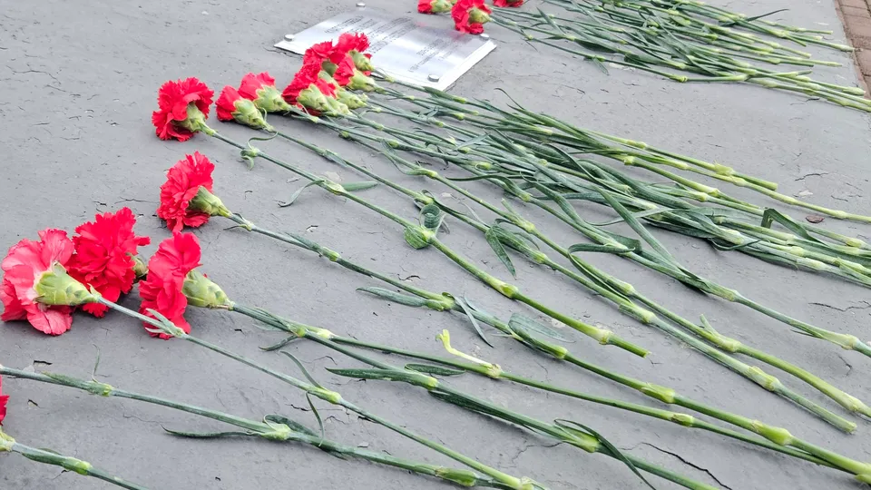 Фото: МедиаБанк Подмосковья/Ольга Вельшикаева