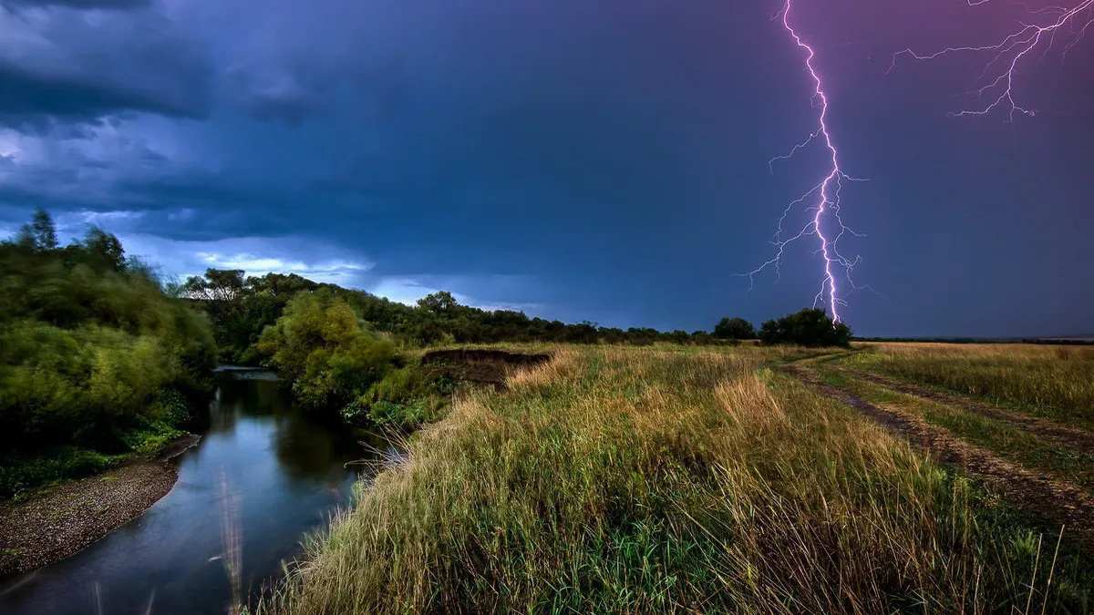 Фото: freepik.ru