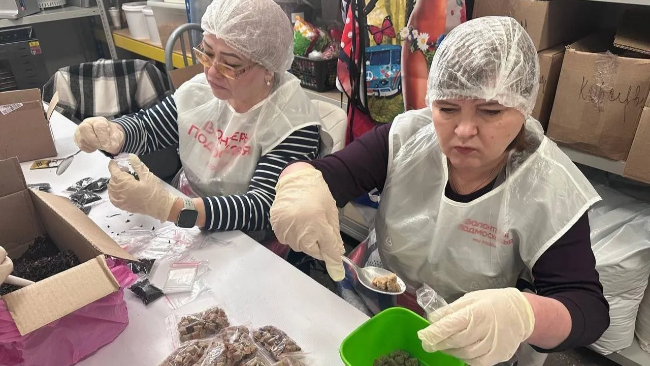 t.me/volonteerpodolsk