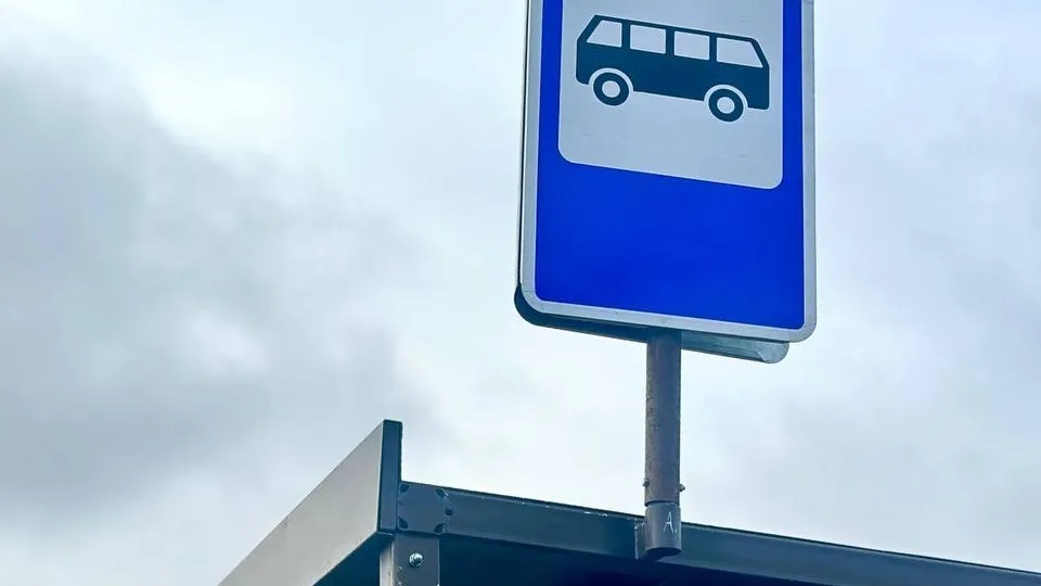 Фото: пресс-служба администрации г. о. Домодедово