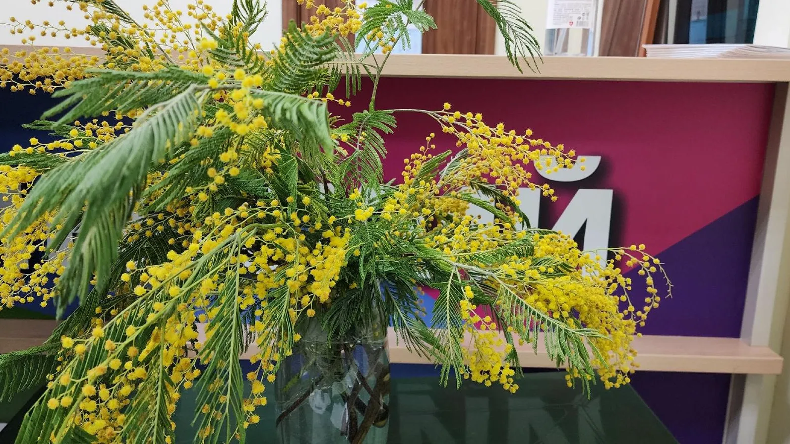 МедиаБанк Подмосковья/Ирина Моисеева