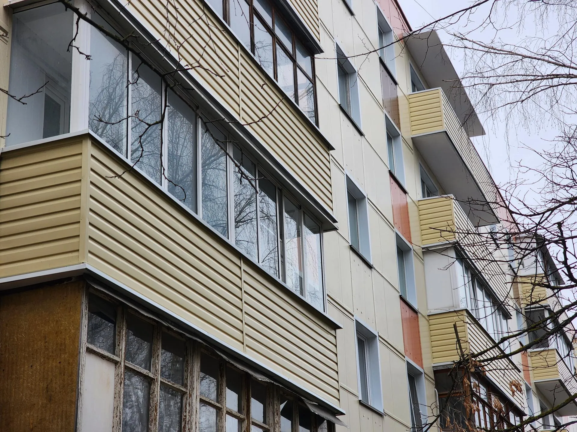 Фото: Светлана Плотникова.