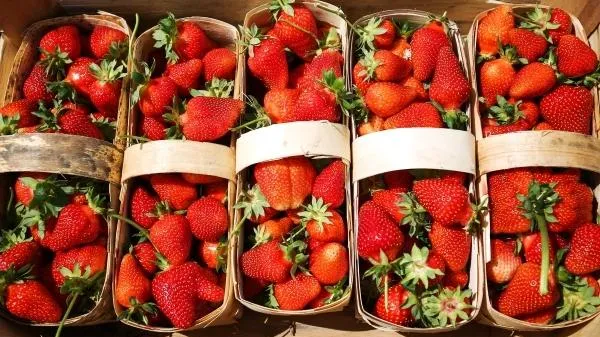 Виталий Тимкив / РИА Новости