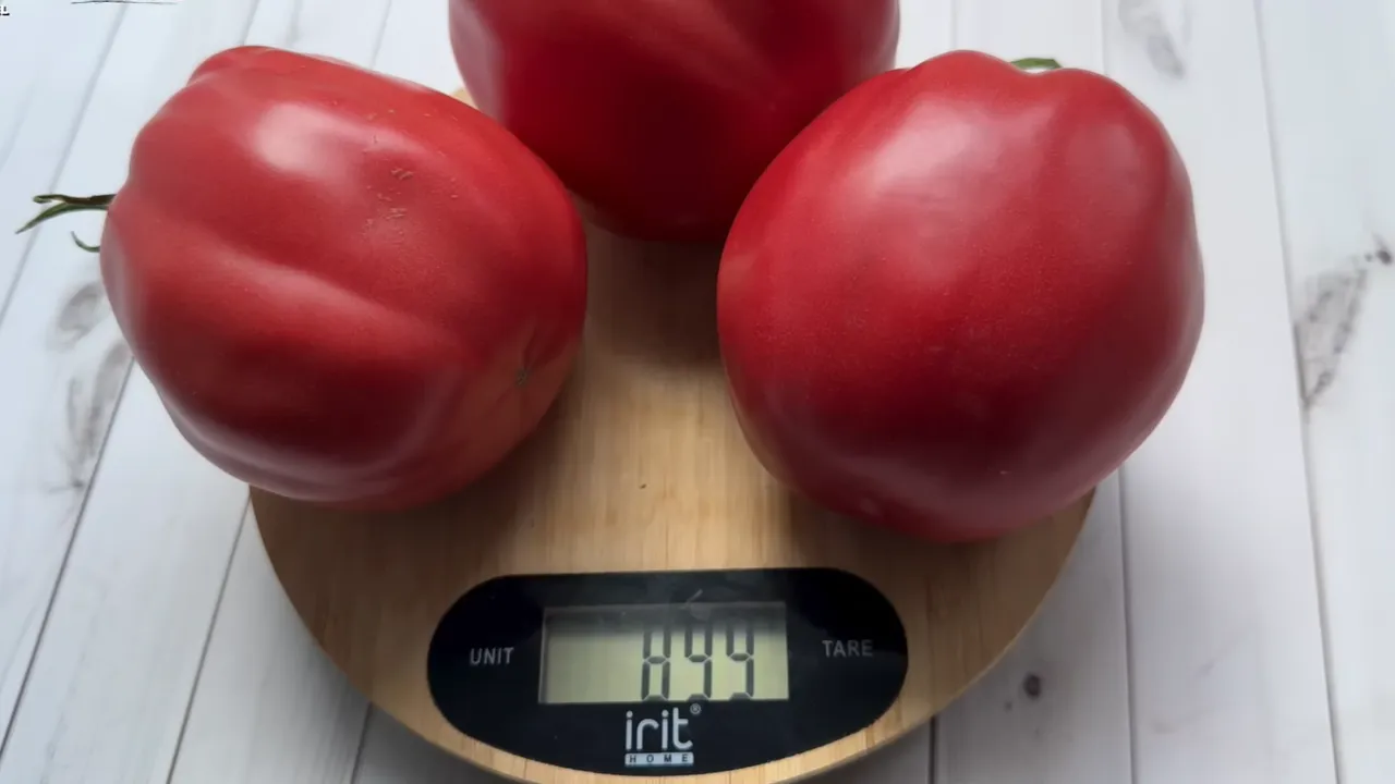 youtube.com/8 грядок