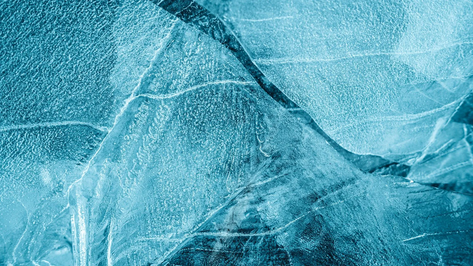 REGIONS/Дмитрий Некрасов