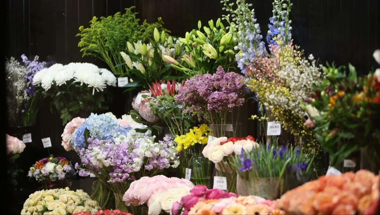 REGIONS/Роман Малышенко