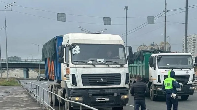 Фото: Минэкологии МО