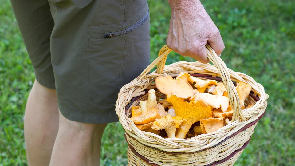 Фото: istockphoto.com