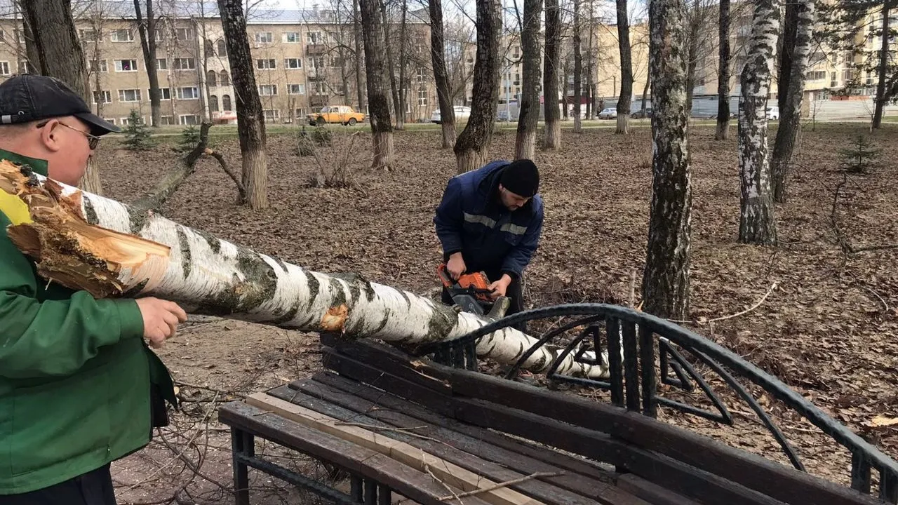 Фото: Пресс-служба администрации г.о. Дзержинский