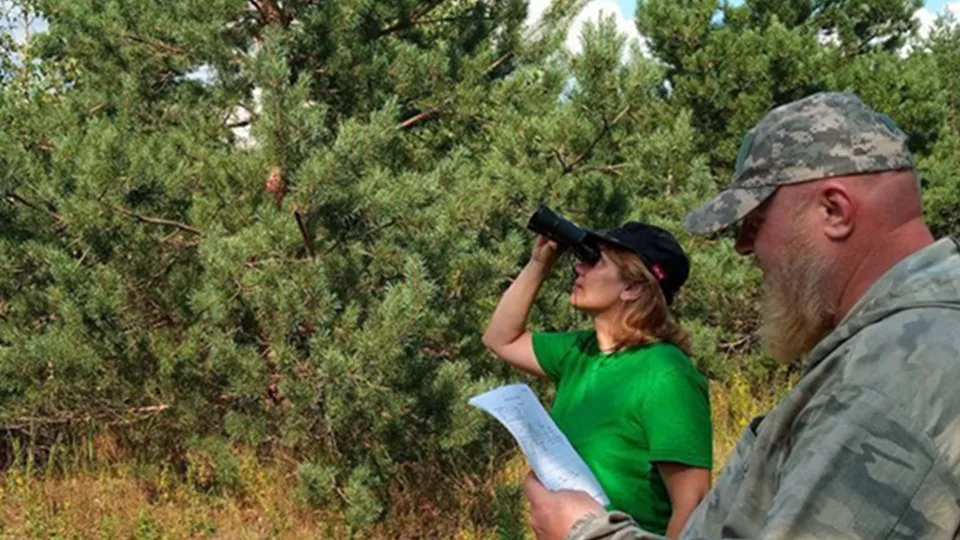 Фото: Комитет лесного хозяйства Московской области