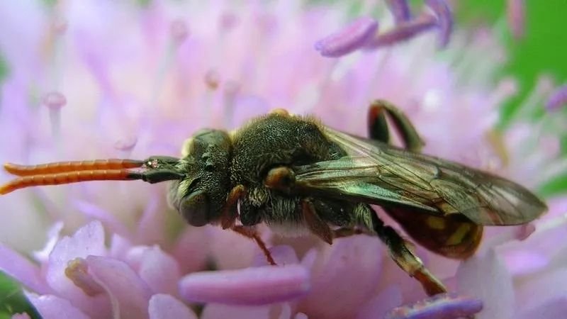 Фото Т. Левченко
