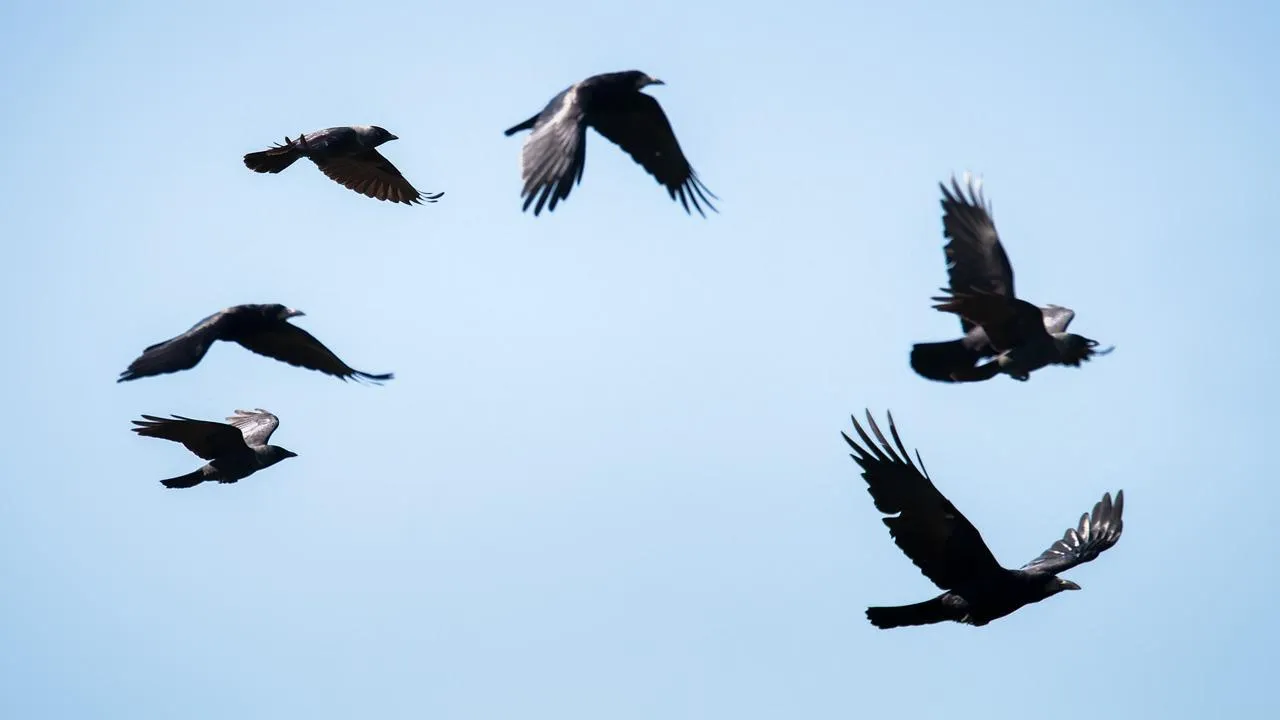 istockphoto.com/Maximillian-cabinet