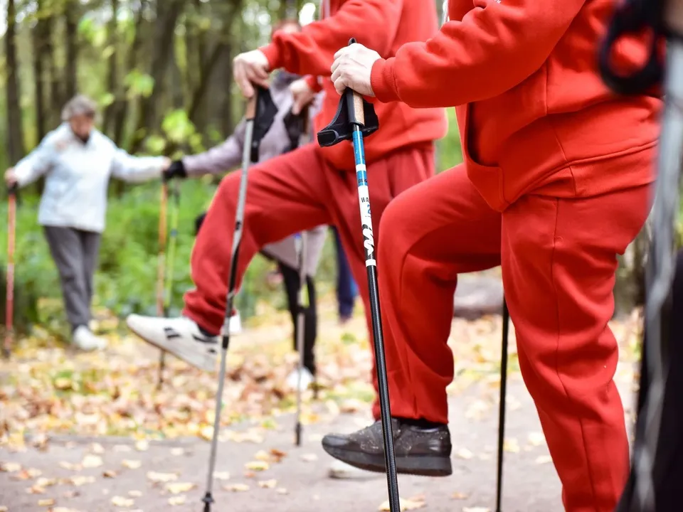 Фото: пресс-служба администрации г.о. Химки