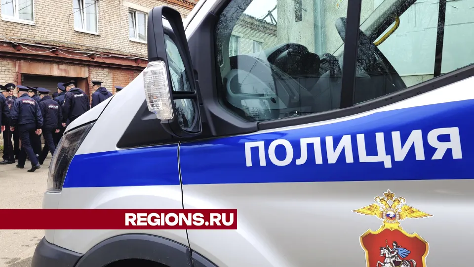 Фото: Нина Басистая