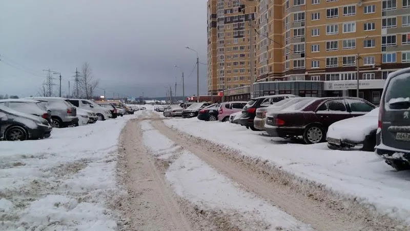 Игорь Савельев / Подмосковье сегодня