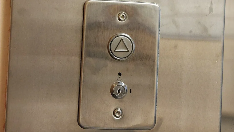 Фото: МедиаБанк Подмосковья/Анна Шолохова