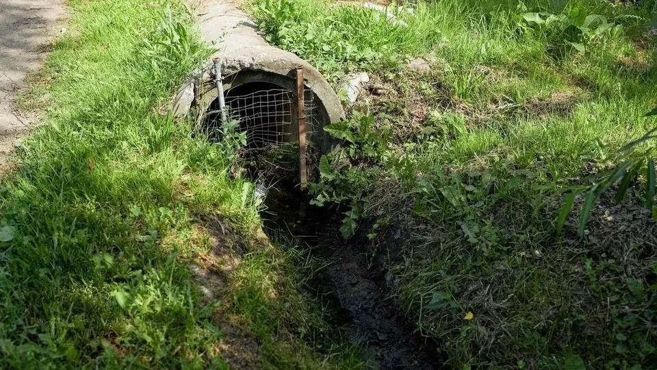 Фото: пресс-служба администрации г.о. Мытищи